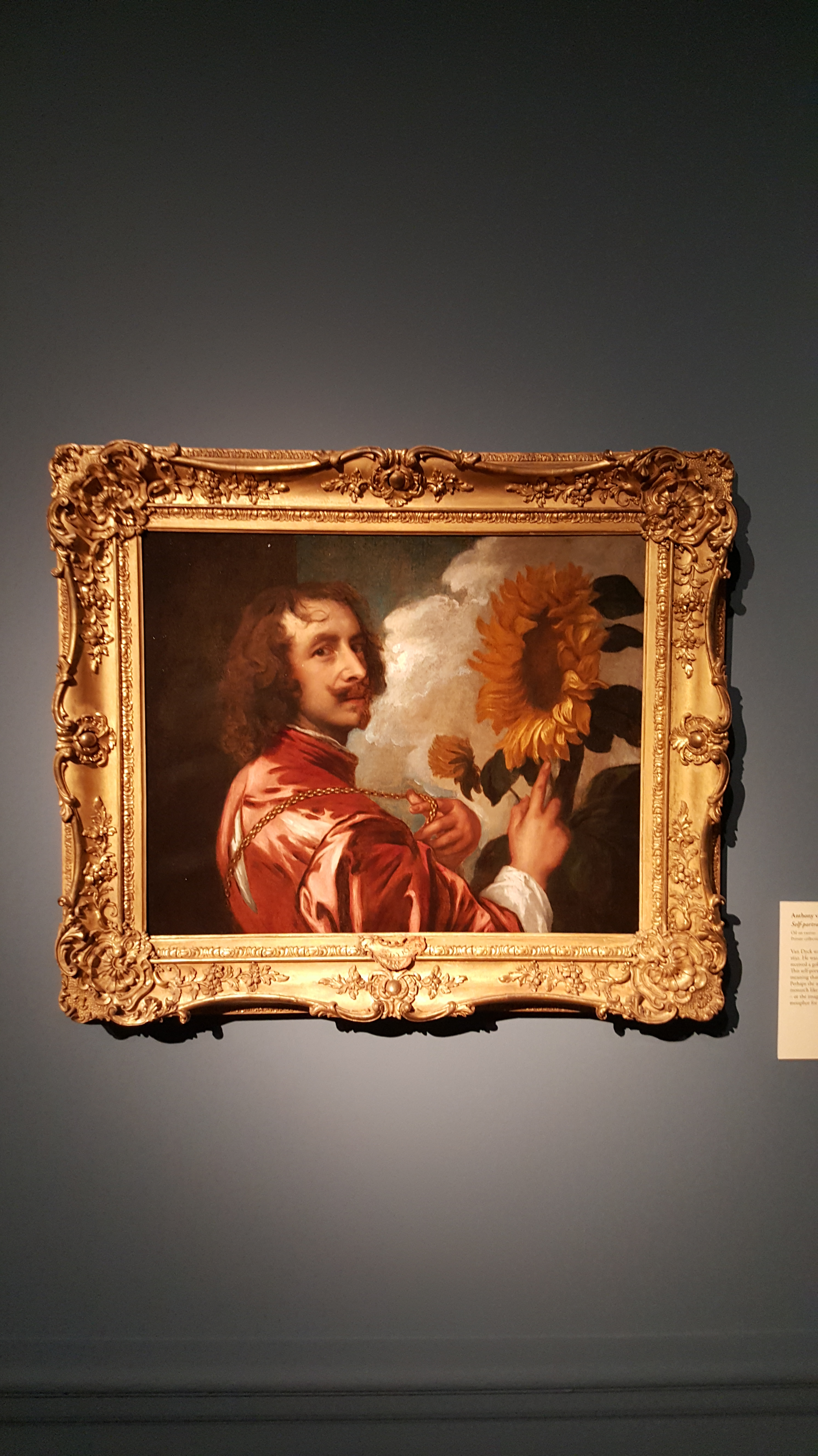 Sir Anthony van Dyck Self-Portrait with Sunflower Oil on Canvas