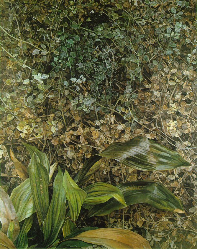 two-plants-1980