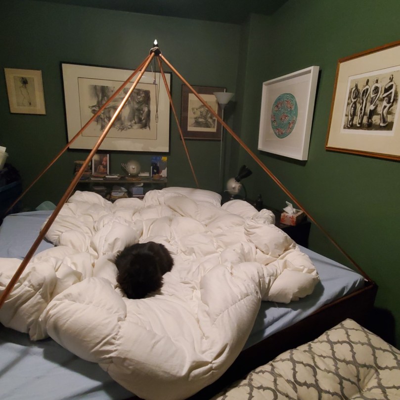 thumbnail_IMG_20190808_010603_147