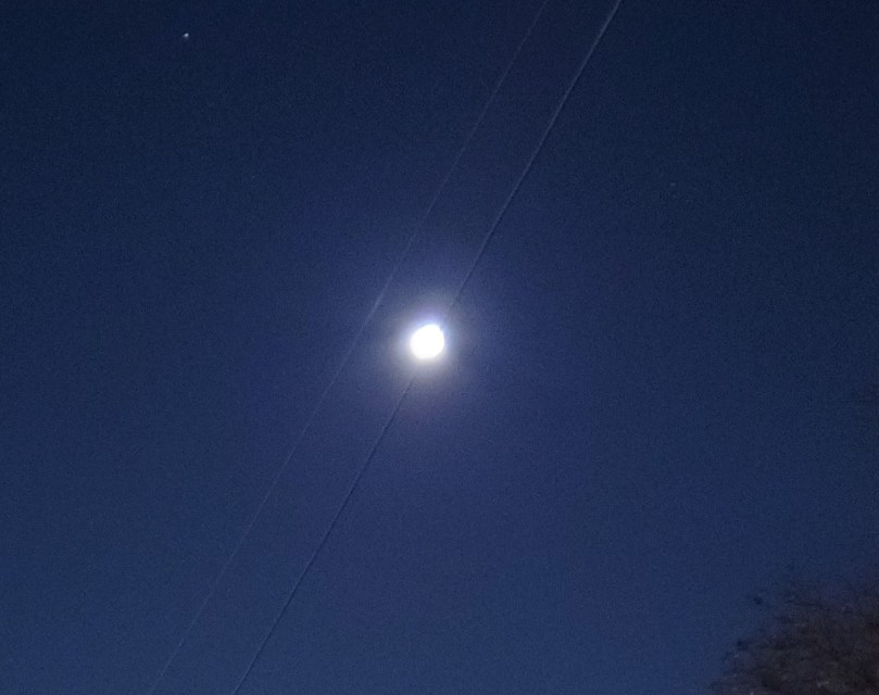 thumbnail_20191115_094436