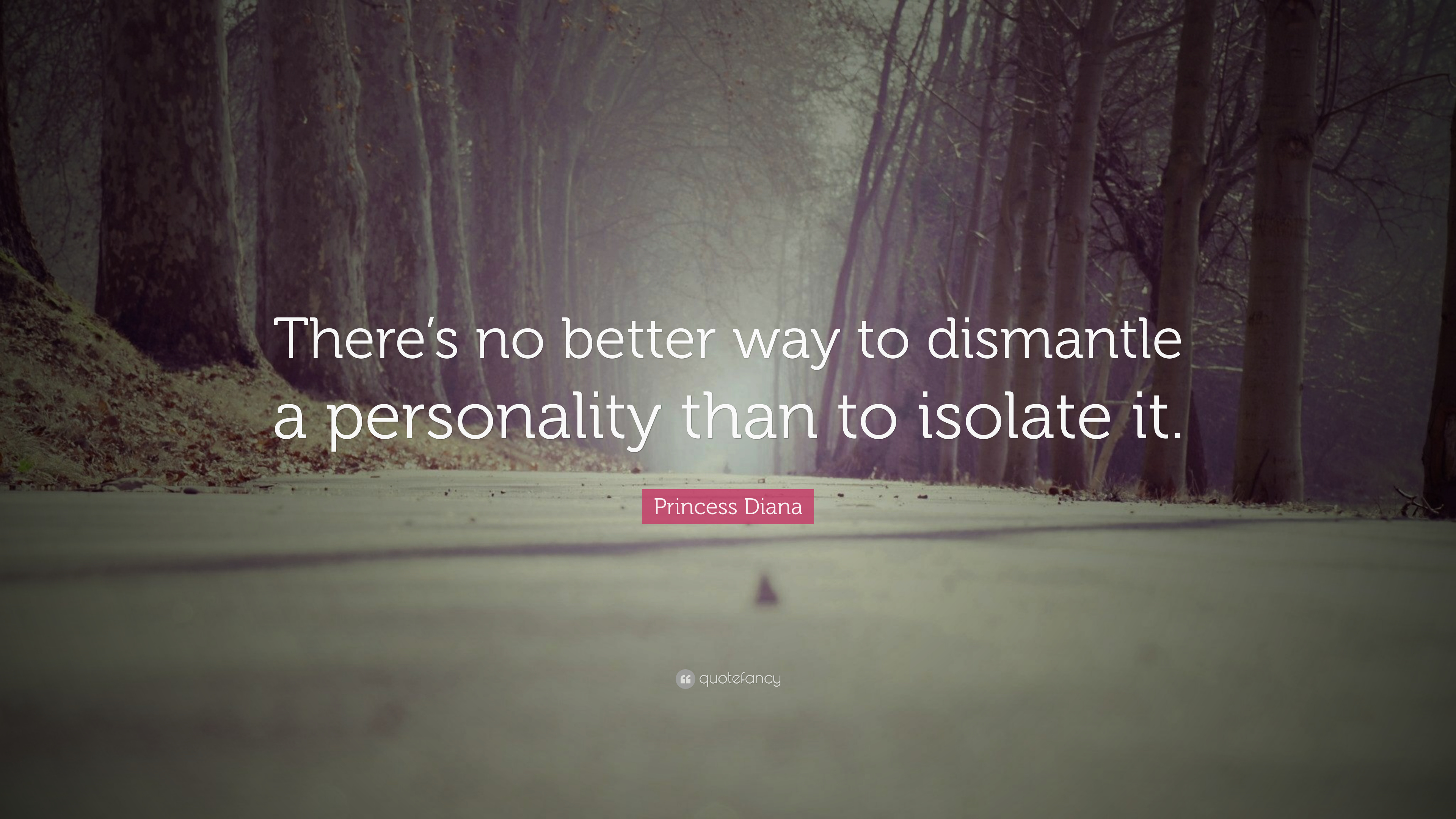 2444881-Princess-Diana-Quote-There-s-no-better-way-to-dismantle-a